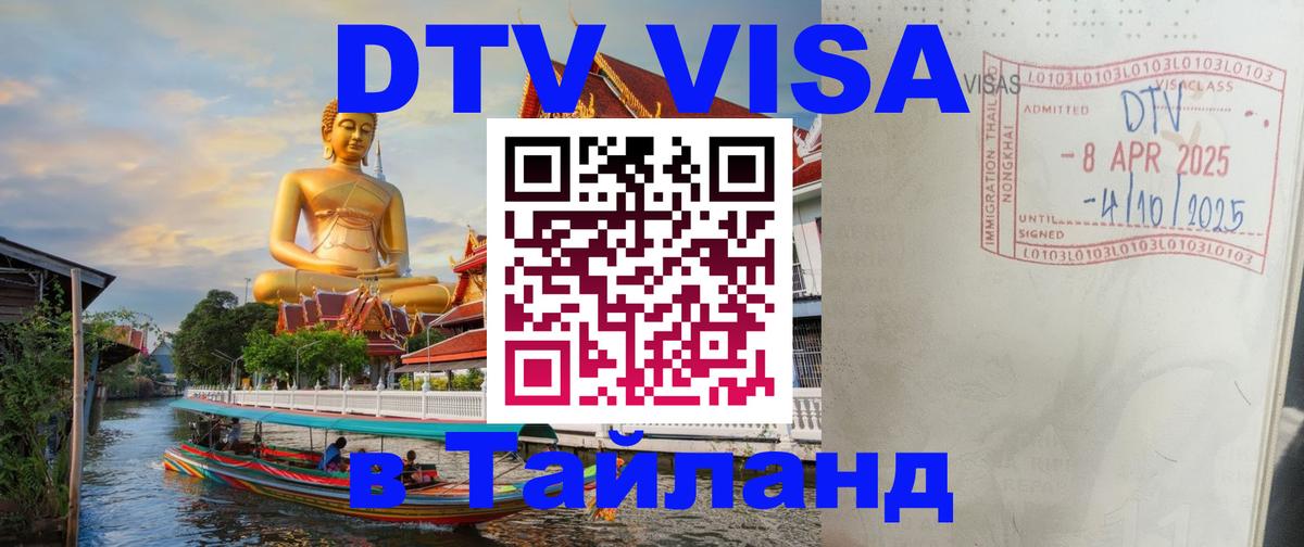 Оформление DTV визы под ключ: стоимость и тарифы, только загранпаспорт - Таллин 